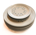 Chantilly "Fleur De Lune" Hand Decorated Hearthside Stoneware Plate Set